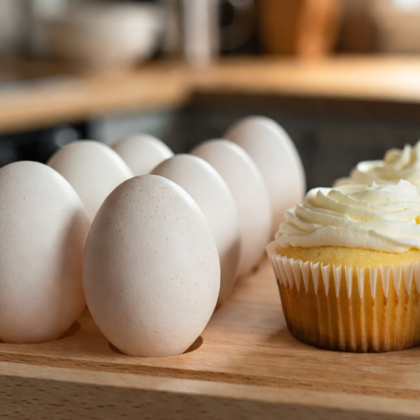 Medium Fresh Eggs (Preferred)